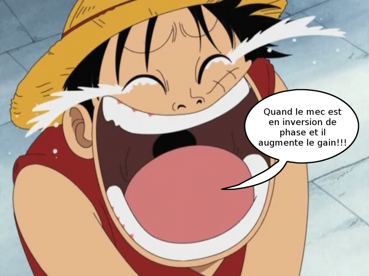 One piece inversion de phase