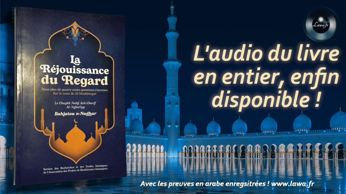 Fond d image la rdg yt disponible